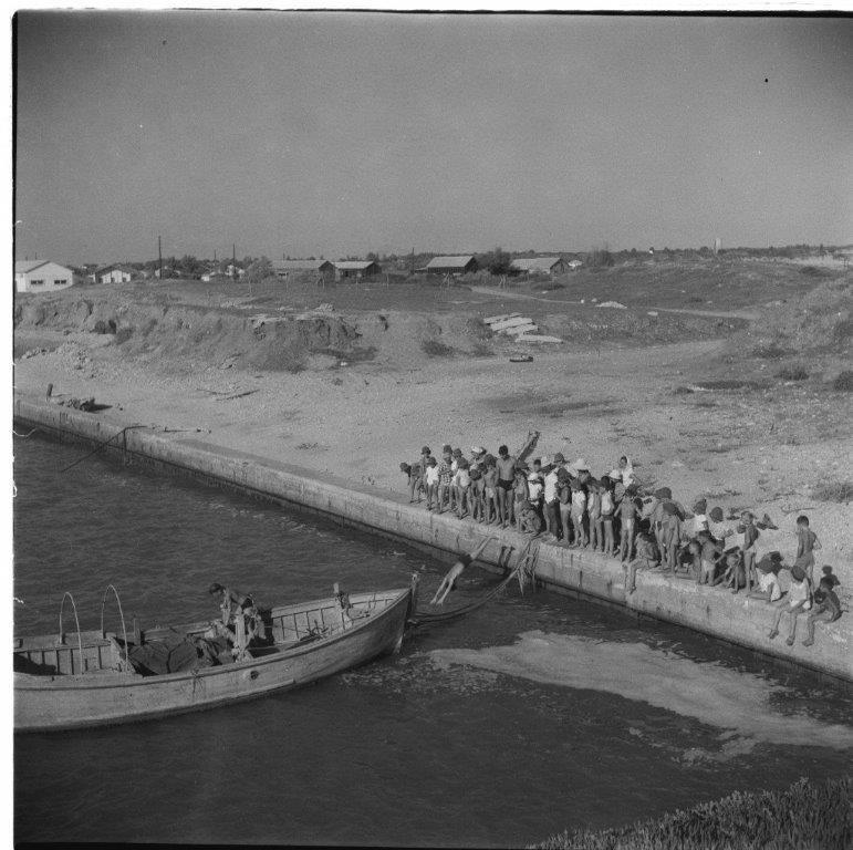 קופצים לים ליד המזרח קייטנת משמר השרון 1954